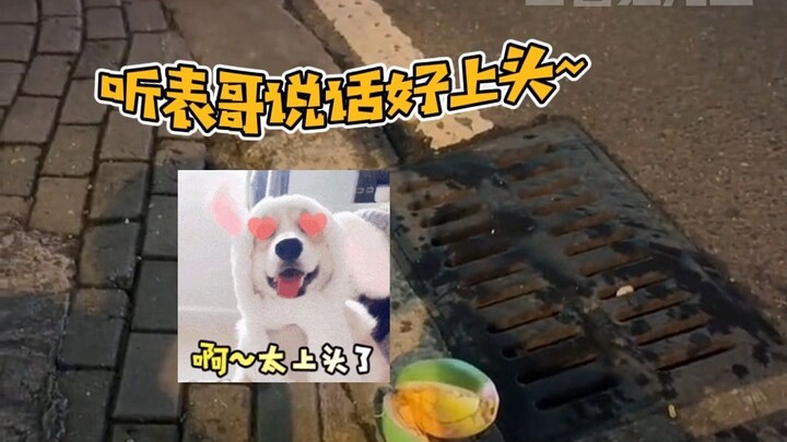 Are all the locals in Hainan this cute? Get hit by a coconut and you’re no longer “tongtong”—you’re 