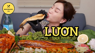 [Mukbang TV] - Lươn nướng + lươn xào + sashimi lươn