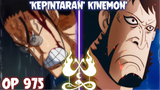 REVIEW OP 975 LENGKAP! KEPINTARAN KINEMON YANG MEMBAWA KEMENANGAN ALIANSI - One Piece 975+