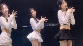 【Emma】Ayo datang ke Magnetic juga!