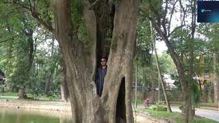 cười mệt 42 #bobo