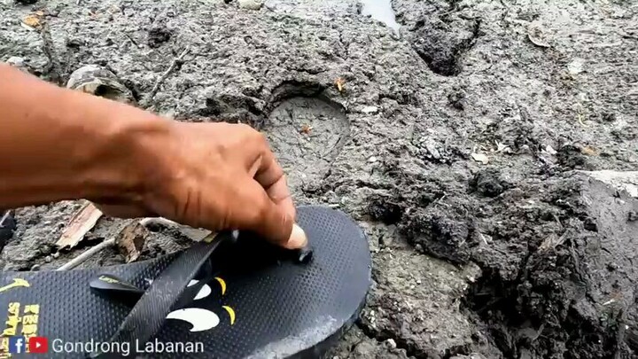 Banyak orang lewat!! Segampang ini mancing cuma di pinggir jalan