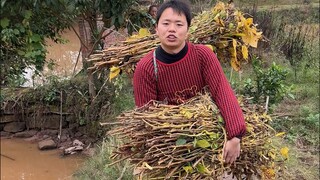 老豆家满门“忠烈”！