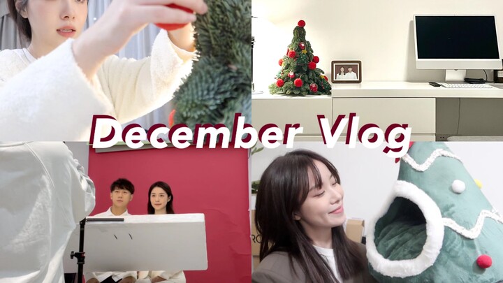VLOG Desember penuh kebahagiaan | Pergi memotret pas foto untuk pencatatan perkawinan | Menghias poh
