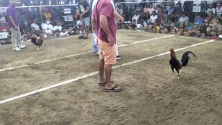 First Fight 2hit Win🔥Zapote Cockpit Arena