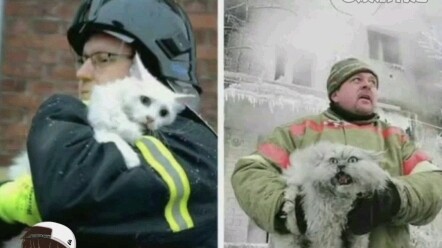 【Kucing Denmark vs Kucing Rusia】Inilah perbedaannya antara tumbuh besar sambil mendengar cerita Hans