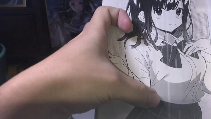 A comparison and evaluation of genuine and pirated light novels, as well as some of my recommendatio