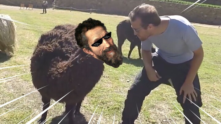 【พฤติกรรมชวนงงของมนุษย์】151 ความฉลาดทางอารมณ์ต่ำ vs ความฉลาดทางอารมณ์สูง