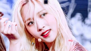 لماذا هن أقوى فرقة أجنبية؟ لأنهن تخلين عن كل شيء وأتين إلى كوريا.