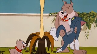 Tom and Jerry | Duo ayah dan the best child ever