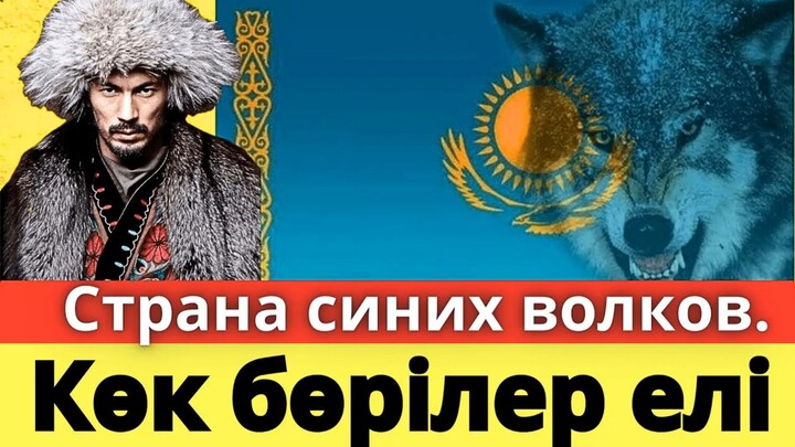 Көк бөрілер ұрпағы_ Қазақ неге қасқырды қасиетті санаған_