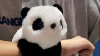 谁能拒绝趴在手上的熊猫国宝呢～
