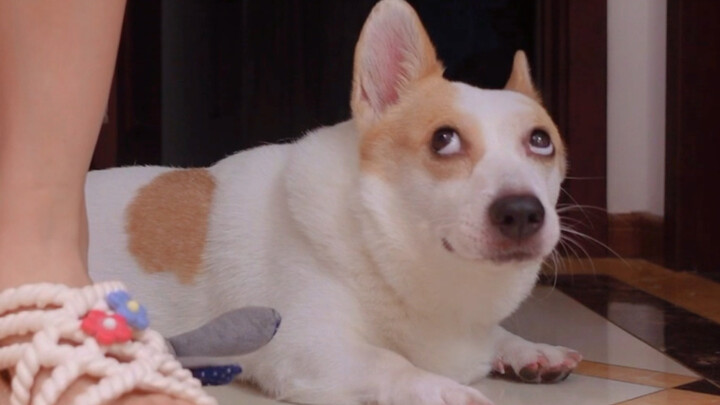 Kedinginan yang sebenarnya bukanlah pertengkaran hebat.