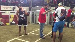 sqc saturday hackfight