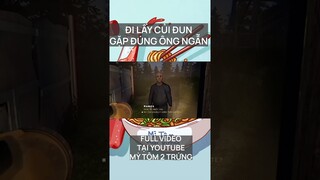Đi lấy củi đun gặp đúng ngẫn ngợ | Fears to Fathom Ironbark Lookout