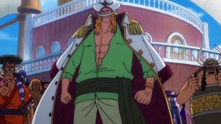 One Piece Wellerman (Amv)