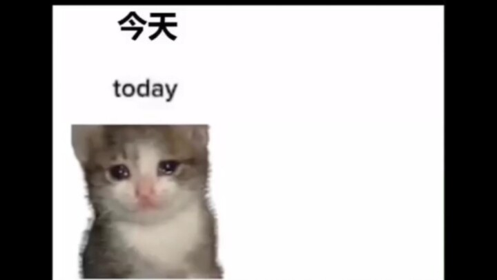 Croissant cat, but with swapped voice lines ( )