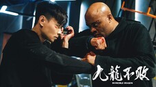 🇭🇰  九龍不敗  The Invincible Dragon  (2019)