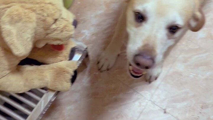 Ai dùng được thì cứ dùng đi~