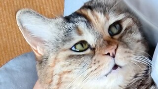 Mẹ ơi, có thật là ôm đủ 25 tiếng một ngày thì sẽ được tặng bình sữa không?