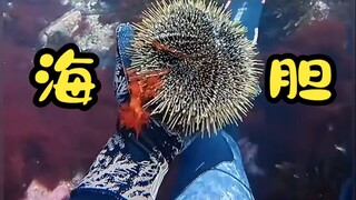 Why do humans leave a few sea urchins for the fish when they catch them?