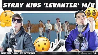 NSD REACT | Stray Kids '바람 (Levanter)' M/V