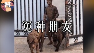 【野生人类图鉴】我的冤种朋友你还好吗？【妈见打】