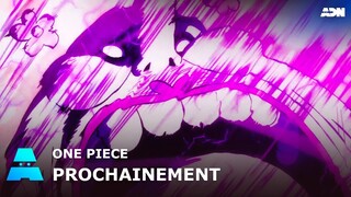 One Piece | Le début d'une nouvelle ère. La détermination des avortons ! | ADN