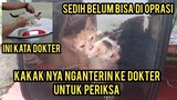 Anak Kucing Kakak Beradik Lagi Sakit Di Buang Di Parkiran Part 2 Kakaknya Nganterin Ke Dokter..!