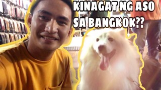 NAKAGAT NG ASO SA BANGKOK?! | SUPER MARCOS VLOGS