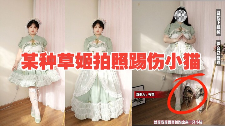 สาวฮิปสเตอร์คนหนึ่งถ่ายรูปแล้วเผลอเตะแมวน้อยจนเจ็บ! ชาวเน็ตคอมเมนต์: เธอเก่งเรื่องตัดต่อชัดๆ!