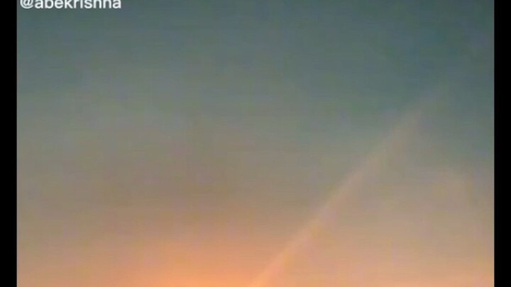 Penggabungan antara merpati dan ayam #dimskusuma #reaction #reactionvideo #reactionlucu  #reactionn