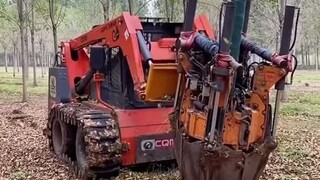 Hóa ra di chuyển cây lớn lại đơn giản đến vậy!