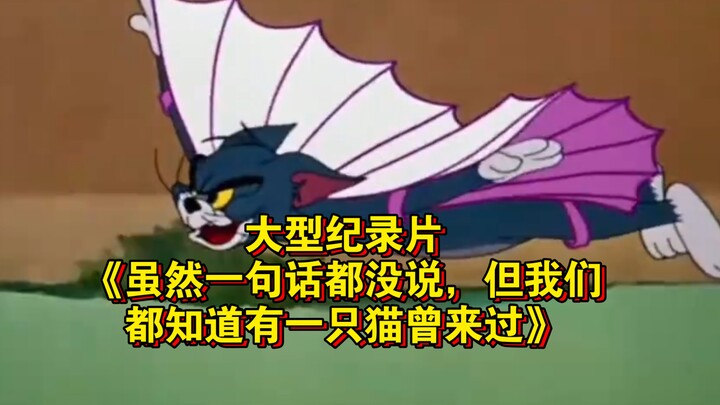 Bộ phim tài liệu quy mô lớn “Dù không nói một lời, nhưng chúng ta đều biết đã từng có một chú mèo đế