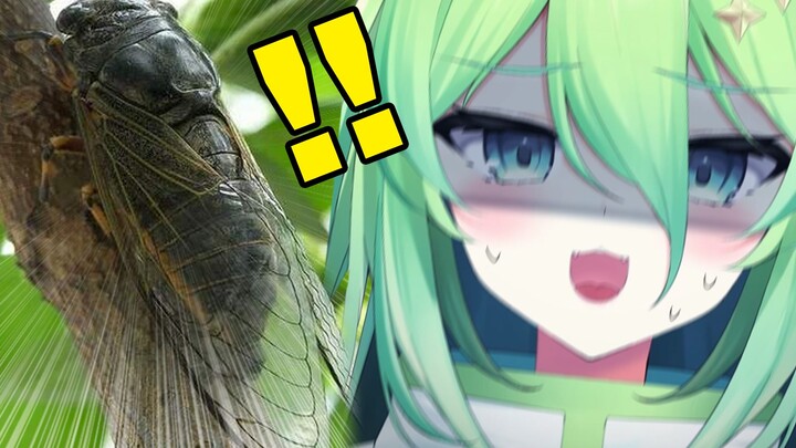 又吃虫？！yueeeeeeeeeeee！