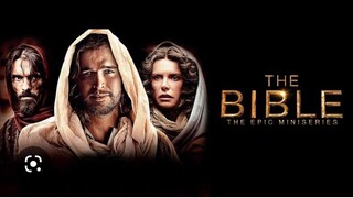 The Bible Chapter 5 (Survival)