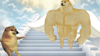 我这有两个超能力，你可以选择其中一个
