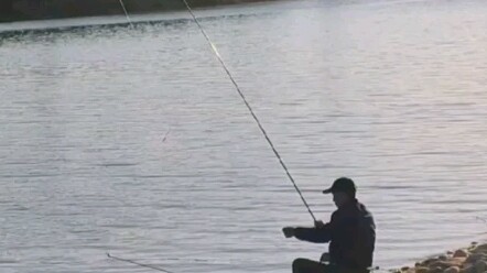 Hóa ra bấy lâu nay mình đã hiểu lầm các “lão câu” rồi, trong mắt cá thì họ chính là những cao thủ đá