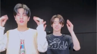 Quay tiktok｜Cứ như nhìn thấy chính mình vậy hahaha