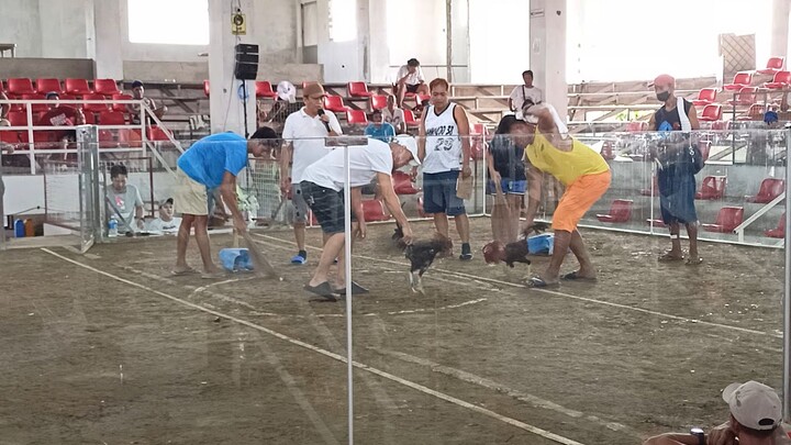 mangaldan 3 hits champion 3rd fight