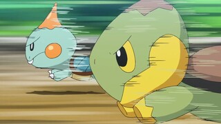 Cuộc đua rùa Pokémon?