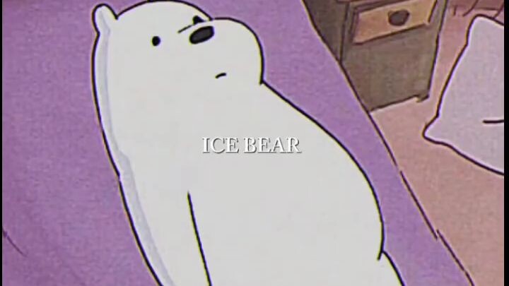 bear