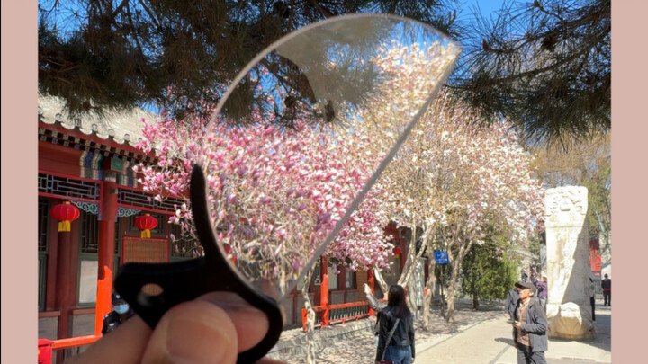 Lensa optik seharga puluhan yuan bisa seberapa efektif?