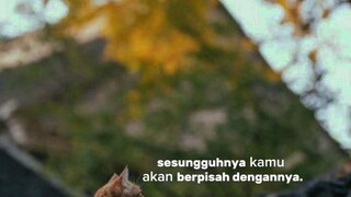 "semua ada balasanya"