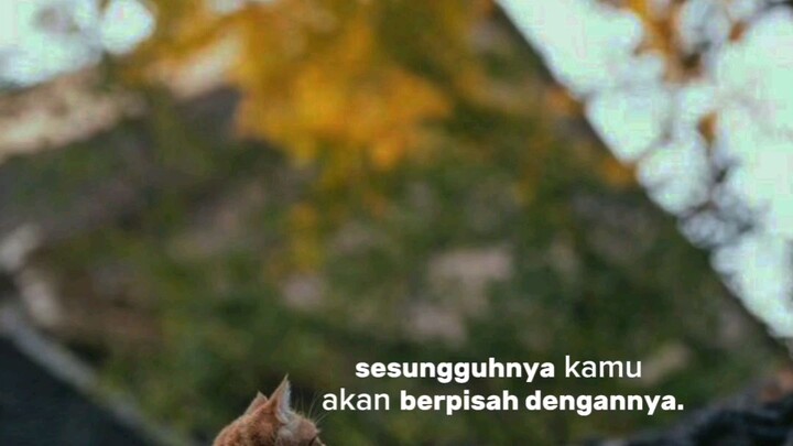 "semua ada balasanya"