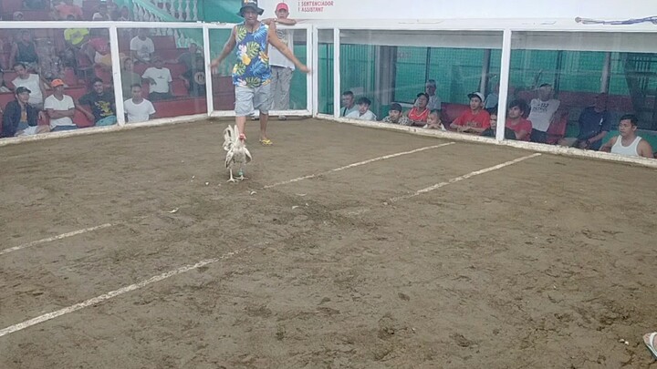 fight #4 Loss at Paraputo Malinao