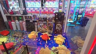 Let s Explore What s NEW at Arcadia Space Needle Arcade!