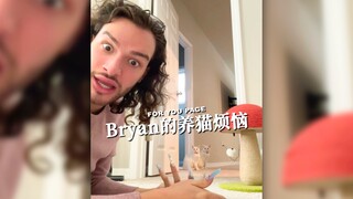 鲨鱼姐最近养猫了，可是是那种很傲娇高冷的捣蛋鬼