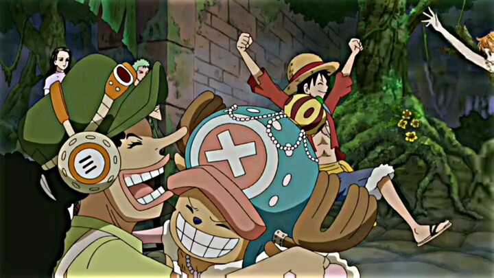 Sanji said🗿 SC:nata.de.shoyo.