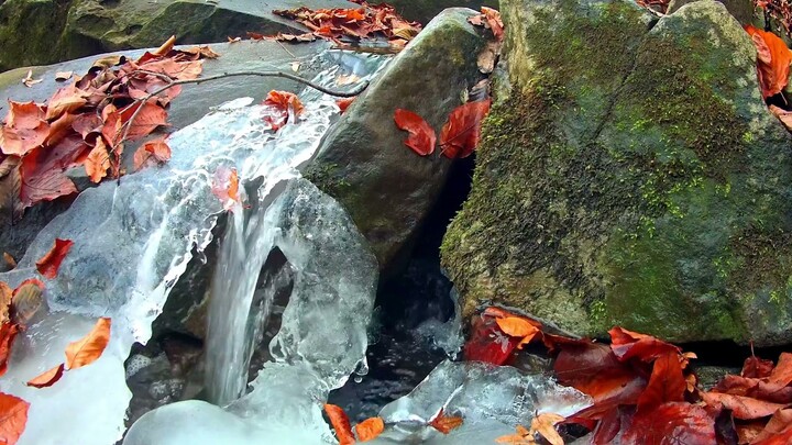 Nature Sounds for Meditation 10 minutes ☯